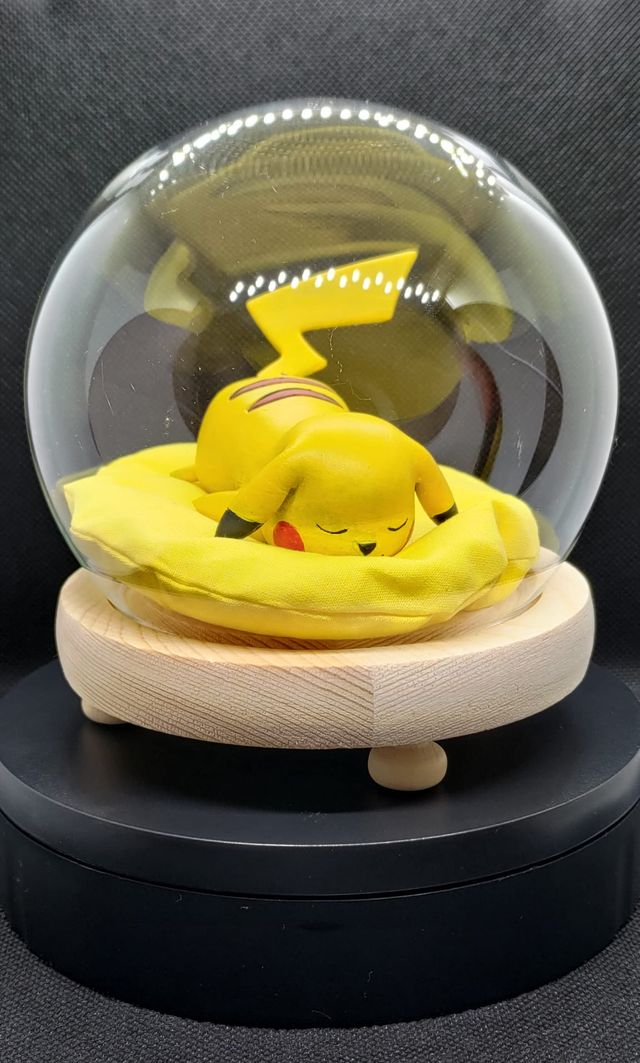 Sleeping Pokemon Pikachu M