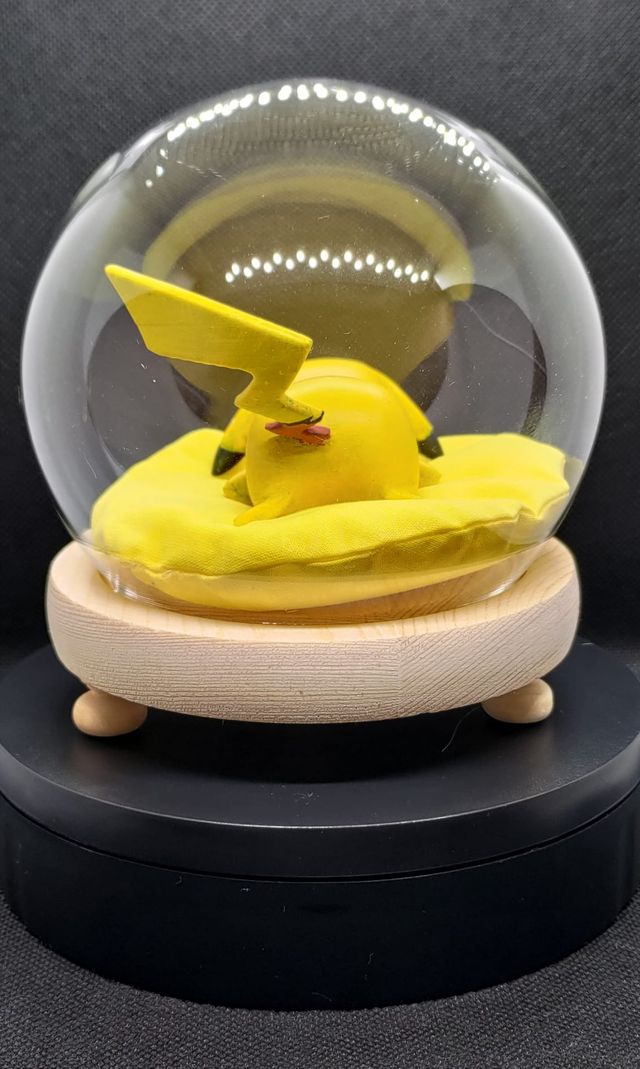 Sleeping Pokemon Pikachu M