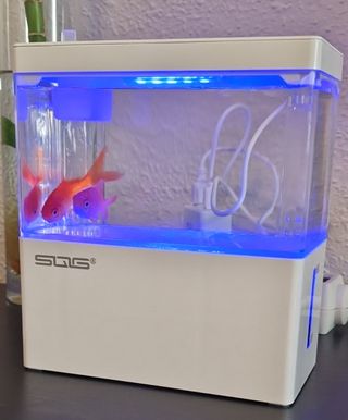 Mini Acuario de Escritorio - 3L