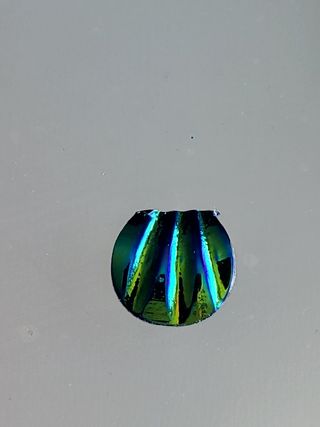 Conchiglina lucente verde e blu