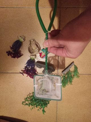 Decoración pecera - plantas y rocas