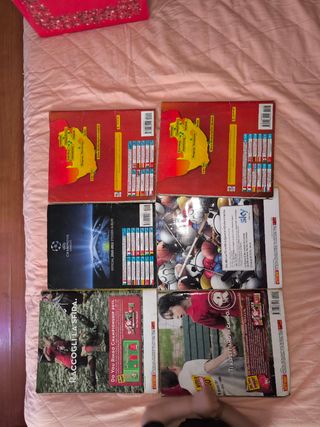 Album Panini Calciatori misti