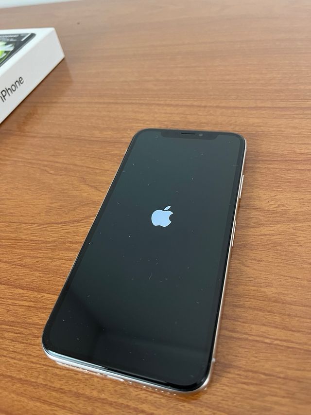 iPhone X 256GB Color plata