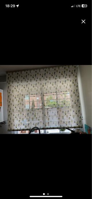 Estor enrollable cactus