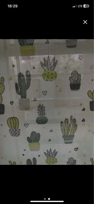 Estor enrollable cactus