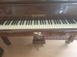 Piano de 1/4 cola Bluthner  Modelo 11