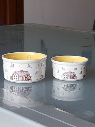 2 Ciotoline mulino bianco bianco arancione