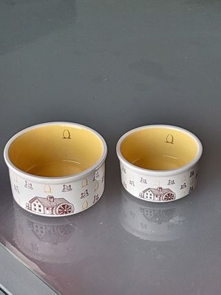 2 Ciotoline mulino bianco bianco arancione