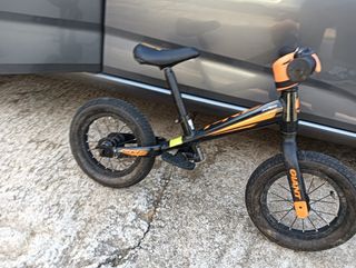 Bicicleta equilibrio Giant 
