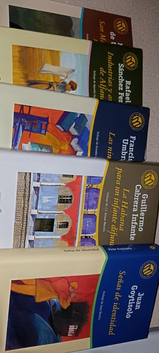 100 mejores novelas en Castellano del siglo XX