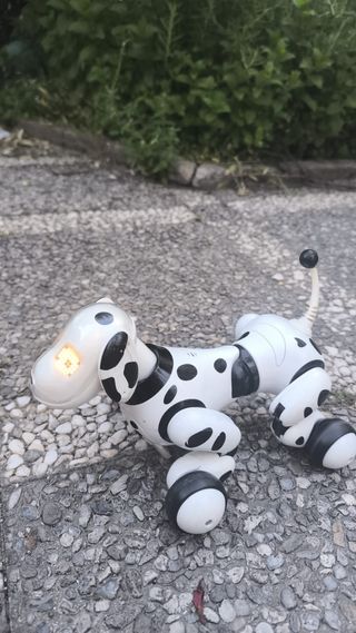 perro robot zoomee