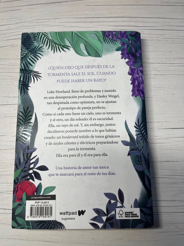 boulevard - Flor M Salvador