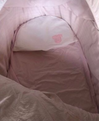 Moises con tonos rosas