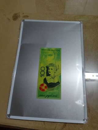 Placa metálica Madonna Like a Virgin más billete