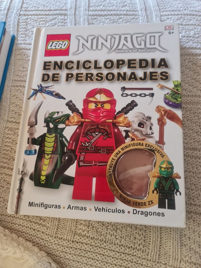 Lote Lego + Libros y Revistas