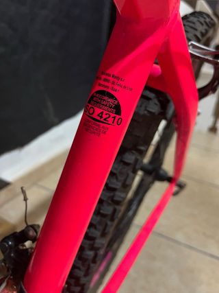 Bicicleta Montanbike rosa