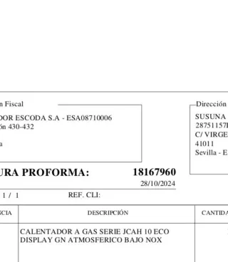 Caldera termo exterior gas natural