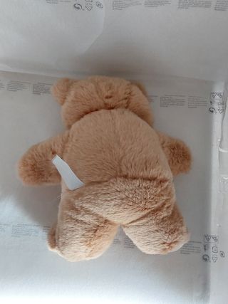 Orso peluche