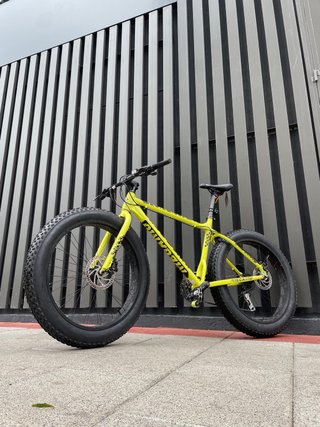 Fat Bike bicicleta negociable