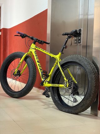 Fat Bike bicicleta negociable