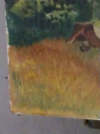 ANTIGUO Cuadro OLEO  paisaje bosque óleo