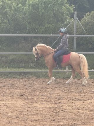 Clases equitacion en Valls 

