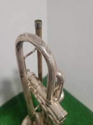 Trompeta