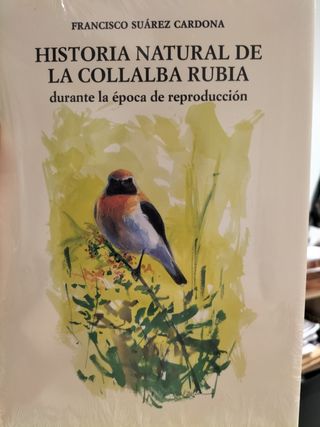 Historia Natural de la Collalba Rubia