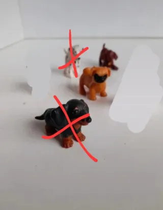 I cuccioli tascabili, Puppy in my pocket: cani