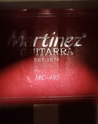 Guitarra española con funda