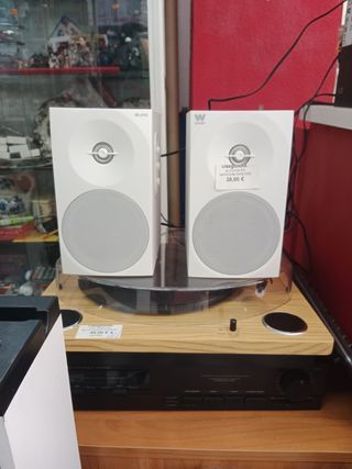 Altavoces Amplificados woster 