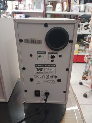 Altavoces Amplificados woster 