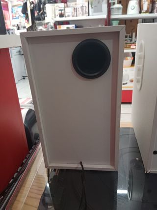 Altavoces Amplificados woster 