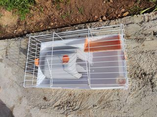 Jaula hamster blanca y naranja