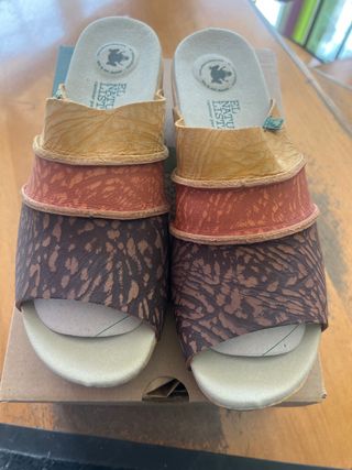 Zueco el naturalista 41