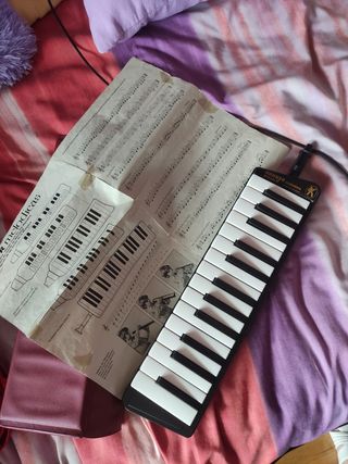 hohner piano melodica 27