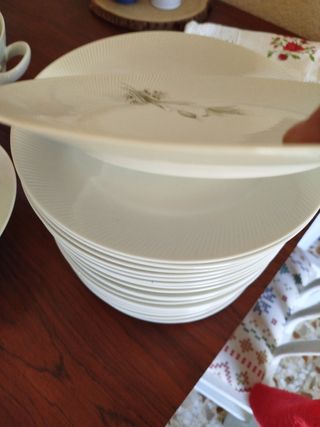 Platos de porcelana decorados