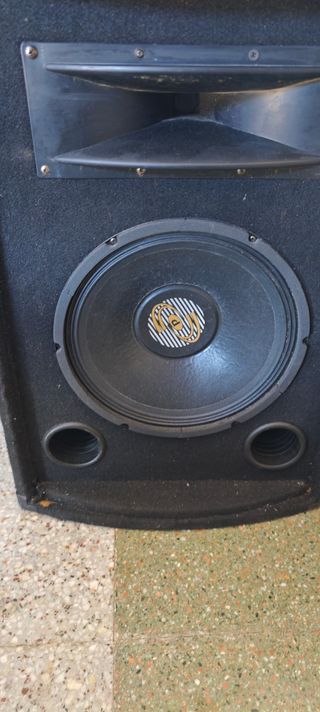 Altavoces PYLE PRO negros