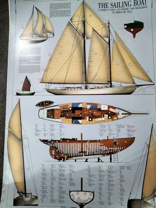 Stampa Barca a Vela