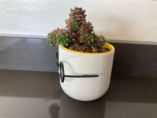 Vasetto Decorativo Viso con Occhiali Stampa 3D 