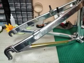 Cuadro Trek Y22 oclv
