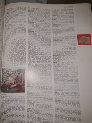 Dizionario Enciclopedico