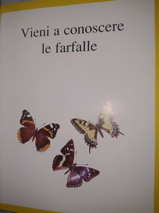 Enciclopedia dami