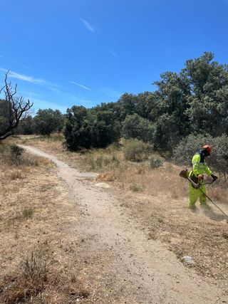 desbroce y mantemientos