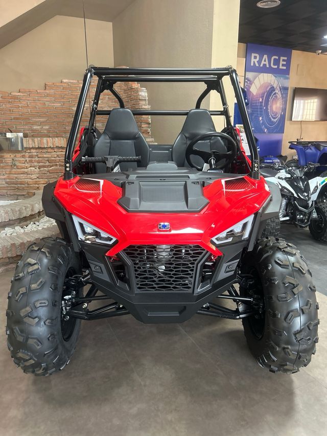 Polaris Rzr 200