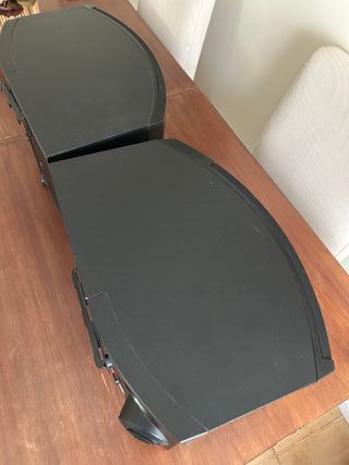 Altavoces BOSE 301 V