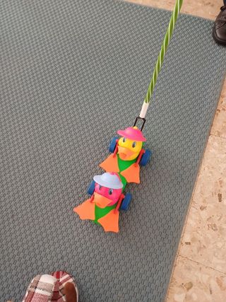 Gioco paperelle su ruote