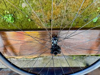 Ruedas MTB carbono 29” DT Swiss 350