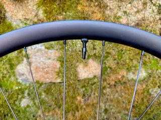 Ruedas MTB carbono 29” DT Swiss 350