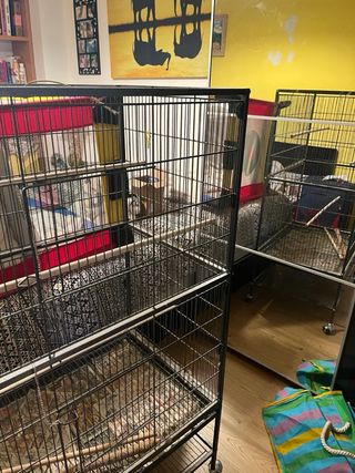 Jaula pajaros grande negra